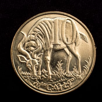 Figure of an antelope on the face of the Ethiopian ten cents coin