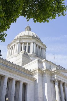 Washington State Capitol Building Dome  in Olympia Framed by Tree Foliage