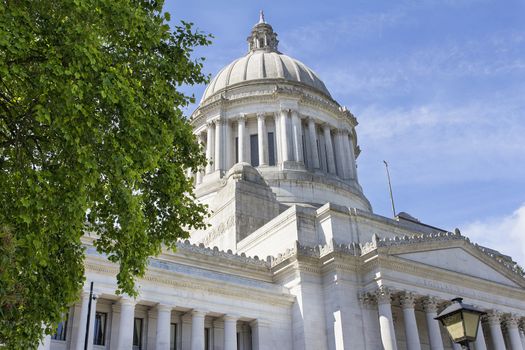 Washington State Capitol Building in Olympia Framed by Tree Foliage