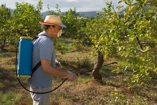 Agricultural worker spraying pesticide on fruit trees