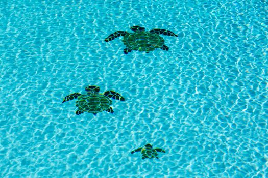 Three tiled turtles on the floor of a swimming pool apparently moving away from the camera with ripples on surface of water