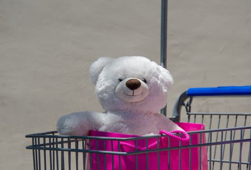 Toy - white bear -  in shopping bag in kid's shopping cart 
Note - this typical white bear was made by hands of my daughter on Build-A-Bear Workshop in Northridge, California, USA.
