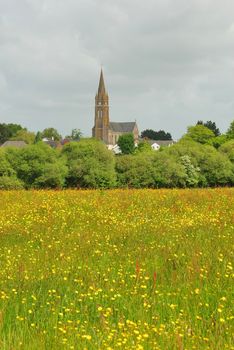 Green grass meadow woody hedgerow 
Village in the French countryside