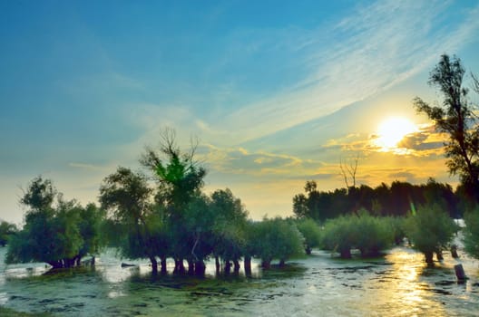 a beautiful sunset on the lake. Danube, Romania