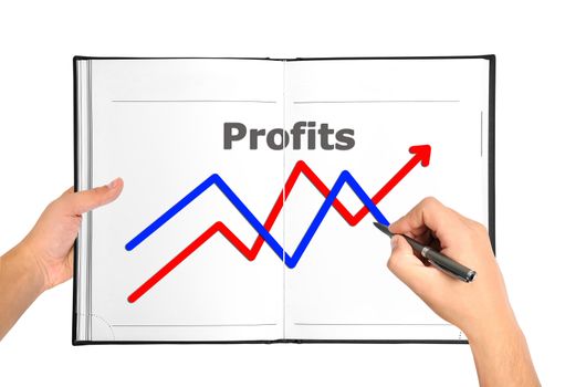 hand drawing graph of growth in book