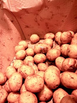 Raw potatoes in a cardboard box at marketplace