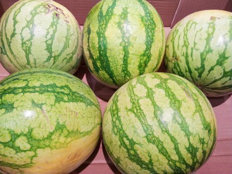 Watermelons in a cardboard box, at a marketplace