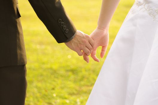 Back view of holding hands couple in love, bride and groom outdoor walking on field.