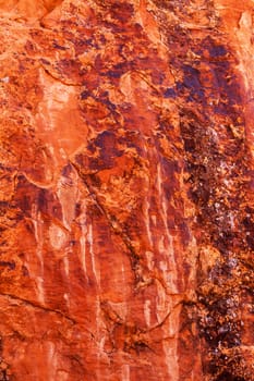 Brown Yellow Orange Rock Canyon Abstract Devils Garden Arches National Park Moab Utah USA Southwest. Lichens on red canyon walls create many abstracts close up.  