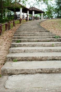 Concrete steps in the garden