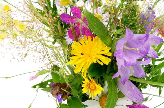 Bouquet of Wildflowers and Various Grass isolated on white background