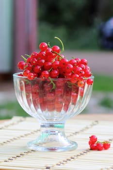 ripe red currants in a glass vase