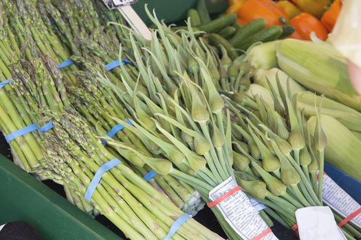 Garlic Spears and Asparagus Bundles Display at Fruit and Vegetable Stall
