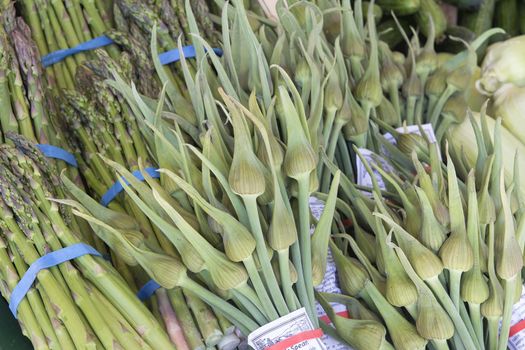 Garlic Spears and Asparagus Bundles Display at Fruit and Vegetable Stall in Farmers Market Closeup