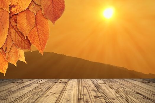 colorful autumn background with terrace of wooden floor and rays from the sun - cherry leaves from the tree in the foreground