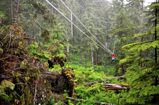  Riding the Ketchikan Zipline