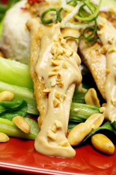 Delicious chicken satay skewers with peanut sauce.