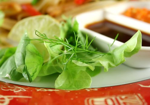 Green garnish of coriander and lime with rocket and dipping sauce.