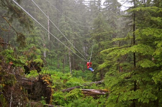  Zip lining in the middle of a forest