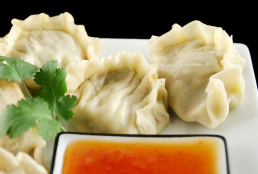 Delicious fried pork and vegetable Chinese dumplings ready to serve.