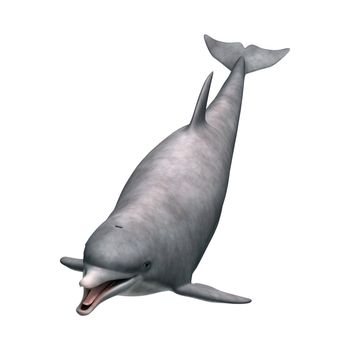 3D digital render of a cute dolphin isolated on white background