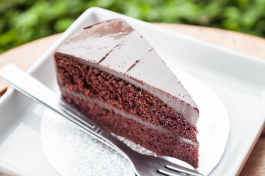 Chocolate custard cake serving in coffee shop garden