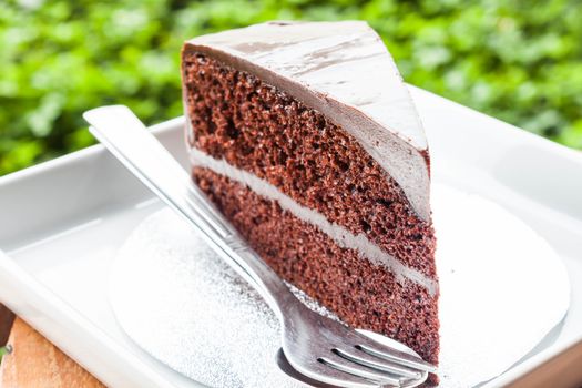 Double chocolate custard cake layers on white plate