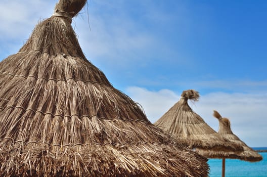 Row of straw parasols on a tropical beach