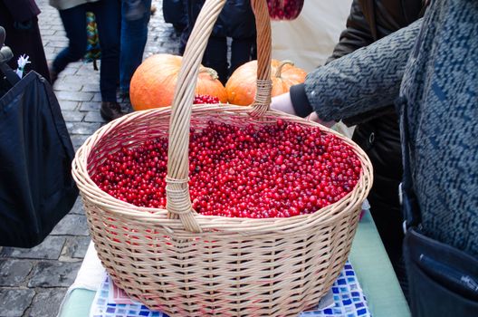 wicker basket full of cranberry mossberry bog-berry sold in outdoor street spring market. healthy diet ecologic nutrition.