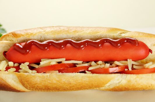 Freshly prepared hot dog with ketchup tomato and cheese.