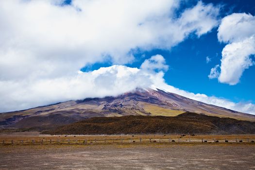 Cotopaxi Volcano in the background of blue sky and clouds