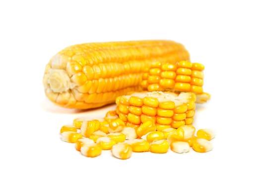 Fresh corn isolated on white background