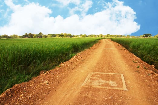 ground road and summer sunny day