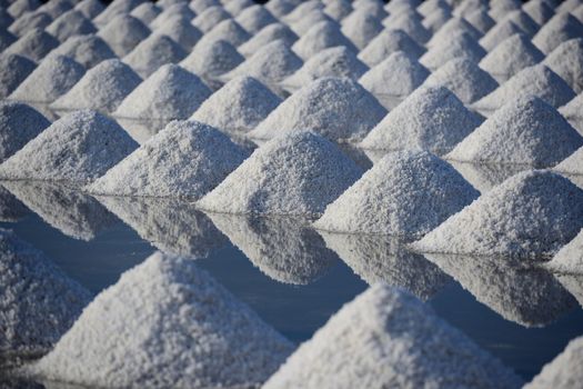 Salt Mine in Salt farm and reflections in thailand