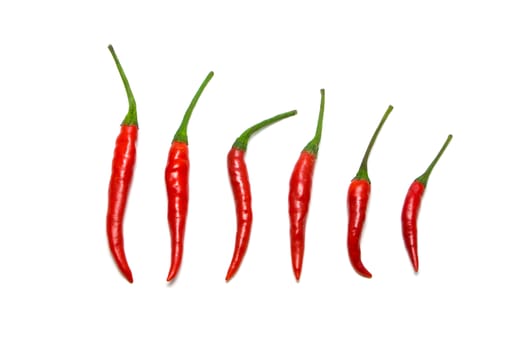 Selection of various types of red chili peppers.