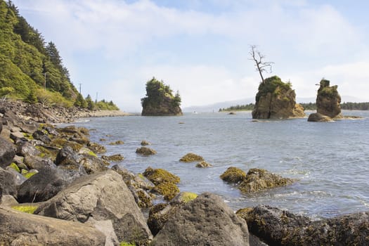 Pig and Sow Inlet in Garibaldi Beach Tillamook Bay Oregon