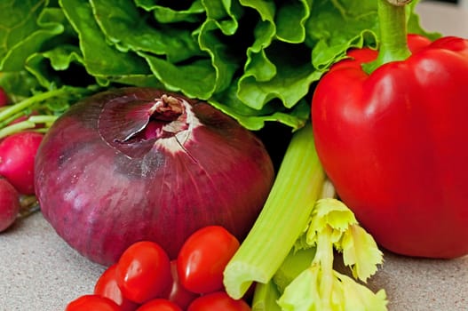 Salad Ingredients on the table ready for preparation