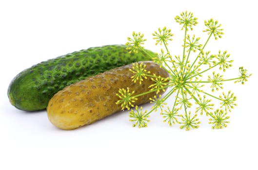 Marinated and fresh cucumber with green dill, isolated on white