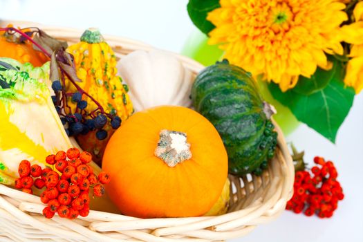 Autumn pumpkins in a straw basket