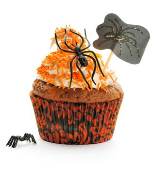 Halloween cupcake with decoration isolated on white