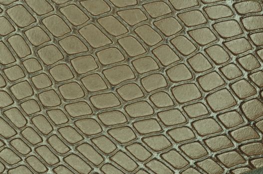 Close up texture of Artificial snake skin