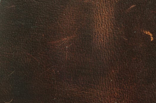 Close up texture of two-tone cow leather 