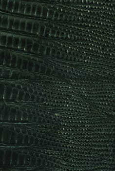 Close up texture of Black lizard leather for use as Background