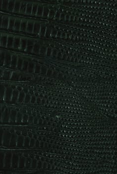 Close up texture of Black lizard leather for use as Background