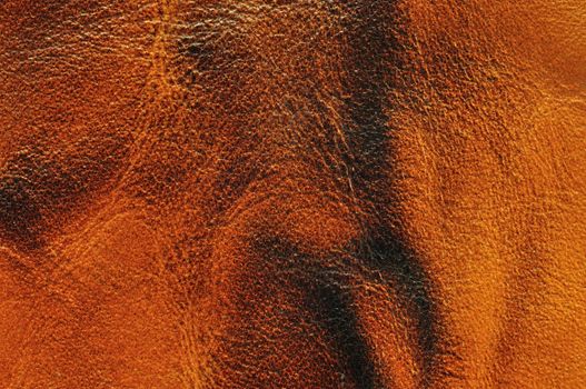 Close up texture of brown and Black cow leather for use as Background