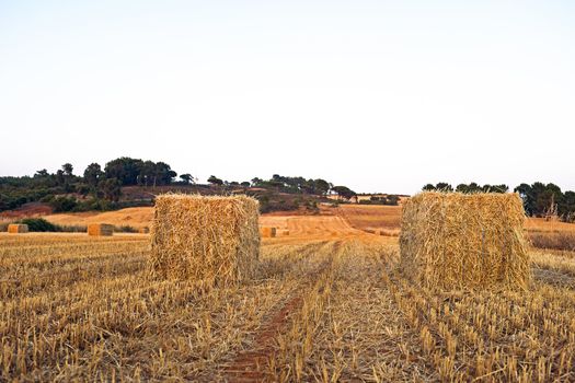 Hay bales in the fields from Portugal at sunset