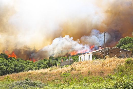 Huge forest fire threatens homes in Portugal
