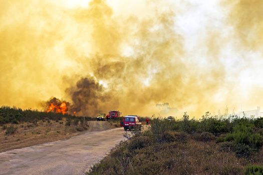 Huge forest fire threatens national park at the westcoast in Portugal