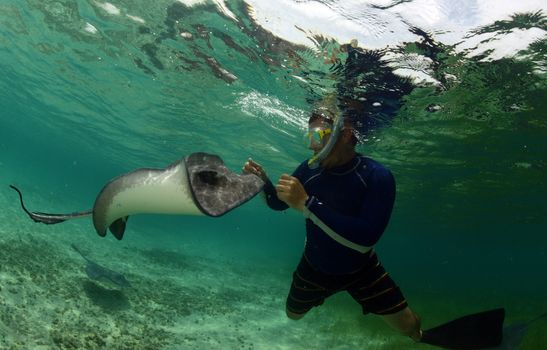 a man with a stingray underwater in ocean