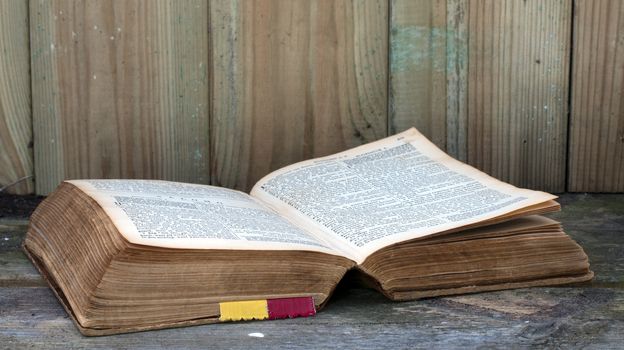 Old bible book